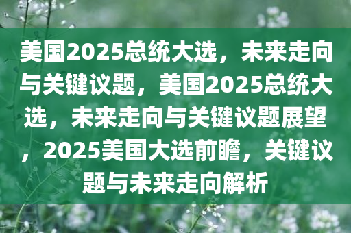 美国2025总统大选，未来走向与关键议题，美国2025总统大选，未来走向与关键议题展望，2025美国大选前瞻，关键议题与未来走向解析