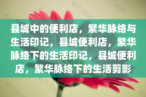 县城中的便利店，繁华脉络与生活印记，县城便利店，繁华脉络下的生活印记，县城便利店，繁华脉络下的生活剪影