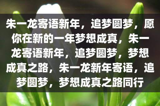 朱一龙寄语新年，追梦圆梦，愿你在新的一年梦想成真，朱一龙寄语新年，追梦圆梦，梦想成真之路，朱一龙新年寄语，追梦圆梦，梦想成真之路同行