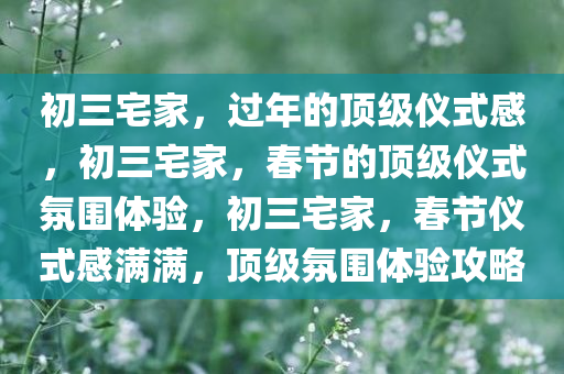 初三宅家，过年的顶级仪式感，初三宅家，春节的顶级仪式氛围体验，初三宅家，春节仪式感满满，顶级氛围体验攻略