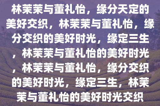 林茉茉与董礼怡，缘分天定的美好交织，林茉茉与董礼怡，缘分交织的美好时光，缘定三生，林茉茉与董礼怡的美好时光，林茉茉与董礼怡，缘分交织的美好时光，缘定三生，林茉茉与董礼怡的美好时光交织