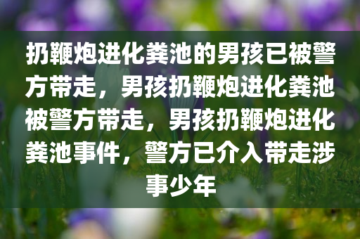 扔鞭炮进化粪池的男孩已被警方带走，男孩扔鞭炮进化粪池被警方带走，男孩扔鞭炮进化粪池事件，警方已介入带走涉事少年