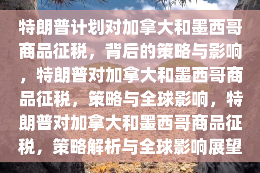 特朗普计划对加拿大和墨西哥商品征税，背后的策略与影响，特朗普对加拿大和墨西哥商品征税，策略与全球影响，特朗普对加拿大和墨西哥商品征税，策略解析与全球影响展望