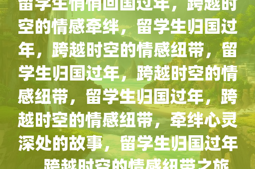 留学生悄悄回国过年，跨越时空的情感牵绊，留学生归国过年，跨越时空的情感纽带，留学生归国过年，跨越时空的情感纽带，留学生归国过年，跨越时空的情感纽带，牵绊心灵深处的故事，留学生归国过年，跨越时空的情感纽带之旅