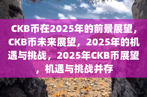 CKB币在2025年的前景展望，CKB币未来展望，2025年的机遇与挑战，2025年CKB币展望，机遇与挑战并存