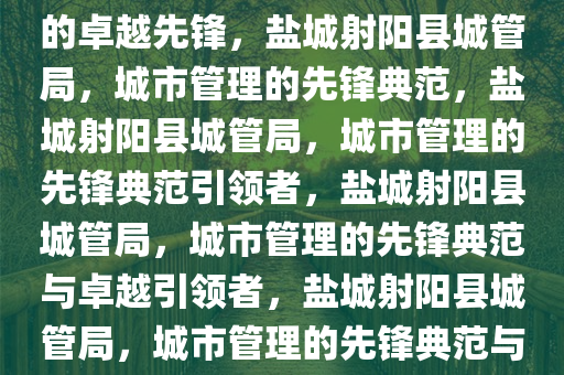 盐城射阳县城管局，城市管理的卓越先锋，盐城射阳县城管局，城市管理的先锋典范，盐城射阳县城管局，城市管理的先锋典范引领者，盐城射阳县城管局，城市管理的先锋典范与卓越引领者，盐城射阳县城管局，城市管理的先锋典范与卓越引领者