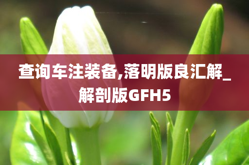 查询车注装备,落明版良汇解_解剖版GFH5