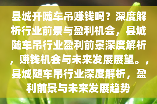 县城开随车吊赚钱吗？深度解析行业前景与盈利机会，县城随车吊行业盈利前景深度解析，赚钱机会与未来发展展望。，县城随车吊行业深度解析，盈利前景与未来发展趋势