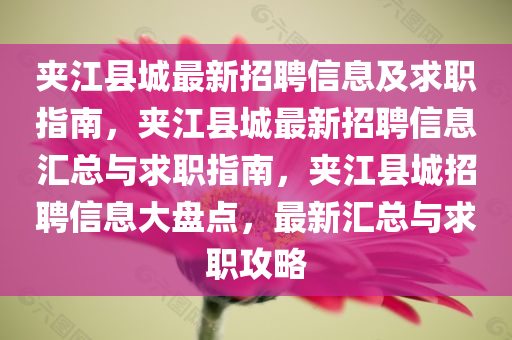 夹江县城最新招聘信息及求职指南，夹江县城最新招聘信息汇总与求职指南，夹江县城招聘信息大盘点，最新汇总与求职攻略