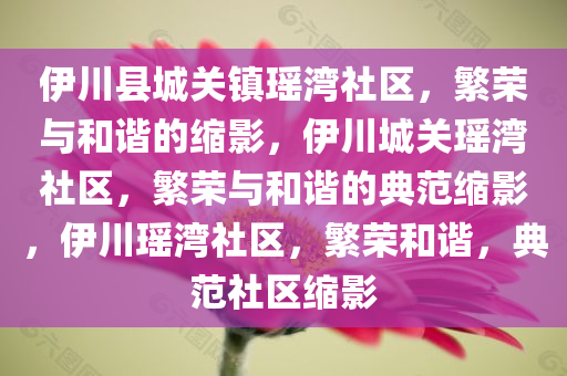 伊川县城关镇瑶湾社区，繁荣与和谐的缩影，伊川城关瑶湾社区，繁荣与和谐的典范缩影，伊川瑶湾社区，繁荣和谐，典范社区缩影