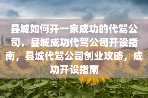 县城如何开一家成功的代驾公司今晚必出三肖2025_2025新澳门精准免费提供·精确判断，县城成功代驾公司开设指南，县城代驾公司创业攻略，成功开设指南