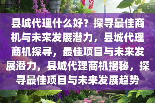 县城代理什么好？探寻最佳商机与未来发展潜力，县城代理商机探寻，最佳项目与未来发展潜力，县城代理商机揭秘，探寻最佳项目与未来发展趋势