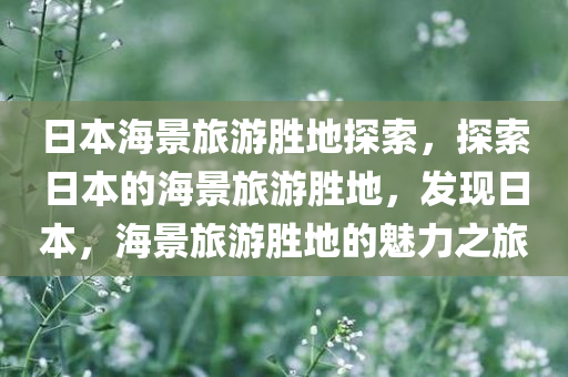 日本海景旅游胜地探索，探索日本的海景旅游胜地，发现日本，海景旅游胜地的魅力之旅