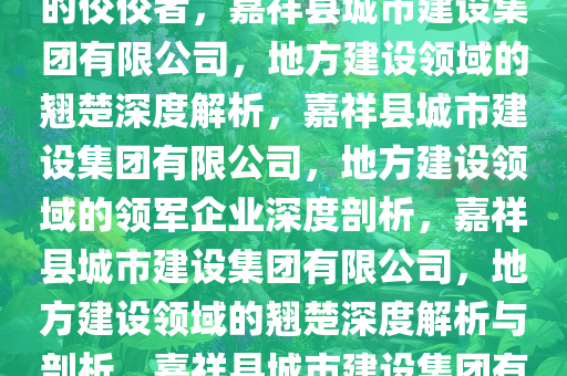 嘉祥县城市建设集团有限公司深度解析，一家地方建设领域的佼佼者，嘉祥县城市建设集团有限公司，地方建设领域的翘楚深度解析，嘉祥县城市建设集团有限公司，地方建设领域的领军企业深度剖析，嘉祥县城市建设集团有限公司，地方建设领域的翘楚深度解析与剖析，嘉祥县城市建设集团有限公司，地方建设领域领军企业的深度剖析