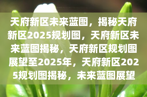 天府新区未来蓝图，揭秘天府新区2025规划图，天府新区未来蓝图揭秘，天府新区规划图展望至2025年，天府新区2025规划图揭秘，未来蓝图展望