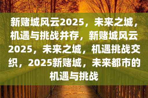 新赌城风云2025，未来之城，机遇与挑战并存，新赌城风云2025，未来之城，机遇挑战交织，2025新赌城，未来都市的机遇与挑战