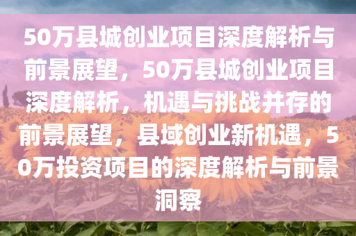 50万县城创业项目深度解析与前景展望，50万县城创业项目深度解析，机遇与挑战并存的前景展望，县域创业新机遇，50万投资项目的深度解析与前景洞察