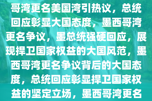 墨西哥湾更名美国湾引热议，墨总统回应展现大国态度，墨西哥湾更名美国湾引热议，总统回应彰显大国态度，墨西哥湾更名争议，墨总统强硬回应，展现捍卫国家权益的大国风范，墨西哥湾更名争议背后的大国态度，总统回应彰显捍卫国家权益的坚定立场，墨西哥湾更名争议，墨总统强硬回应，彰显捍卫国家权益的大国风范