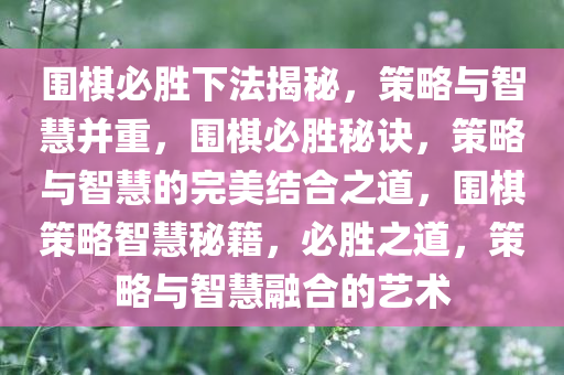 围棋必胜下法揭秘，策略与智慧并重，围棋必胜秘诀，策略与智慧的完美结合之道，围棋策略智慧秘籍，必胜之道，策略与智慧融合的艺术