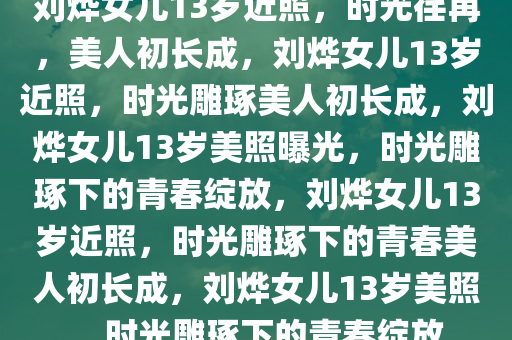 刘烨女儿13岁近照，时光荏苒，美人初长成，刘烨女儿13岁近照，时光雕琢美人初长成，刘烨女儿13岁美照曝光，时光雕琢下的青春绽放，刘烨女儿13岁近照，时光雕琢下的青春美人初长成，刘烨女儿13岁美照，时光雕琢下的青春绽放