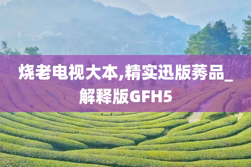 烧老电视大本,精实迅版莠品_解释版GFH5