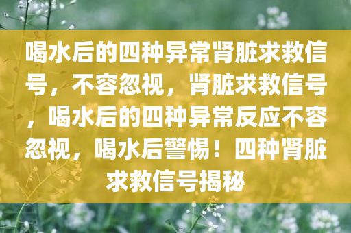 喝水后的四种异常肾脏求救信号，不容忽视，肾脏求救信号，喝水后的四种异常反应不容忽视，喝水后警惕！四种肾脏求救信号揭秘