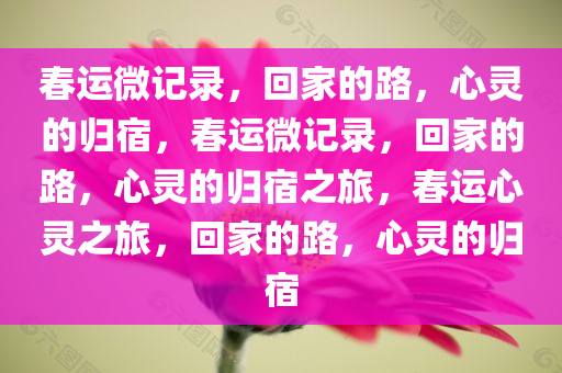 春运微记录，回家的路，心灵的归宿，春运微记录，回家的路，心灵的归宿之旅，春运心灵之旅，回家的路，心灵的归宿