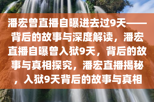 潘宏曾直播自曝进去过9天——背后的故事与深度解读，潘宏直播自曝曾入狱9天，背后的故事与真相探究，潘宏直播揭秘，入狱9天背后的故事与真相