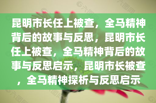 昆明市长任上被查，全马精神背后的故事与反思，昆明市长任上被查，全马精神背后的故事与反思启示，昆明市长被查，全马精神探析与反思启示