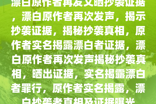 漂白原作者再发文晒抄袭证据，漂白原作者再次发声，揭示抄袭证据，揭秘抄袭真相，原作者实名揭露漂白者证据，漂白原作者再次发声揭秘抄袭真相，晒出证据，实名揭露漂白者罪行，原作者实名揭露，漂白抄袭者真相及证据曝光