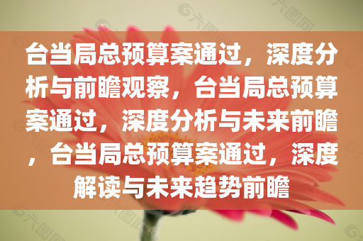 台当局总预算案通过，深度分析与前瞻观察，台当局总预算案通过，深度分析与未来前瞻，台当局总预算案通过，深度解读与未来趋势前瞻