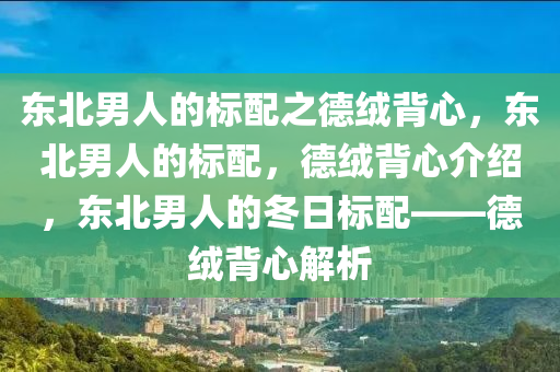 东北男人的标配之德绒背心，东北男人的标配，德绒背心介绍，东北男人的冬日标配——德绒背心解析