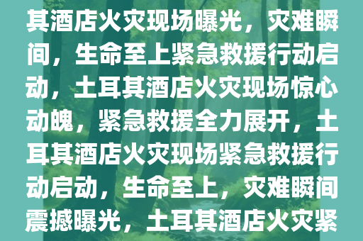 土耳其酒店火灾现场视频曝光，灾难瞬间，生命至上，土耳其酒店火灾现场曝光，灾难瞬间，生命至上紧急救援行动启动，土耳其酒店火灾现场惊心动魄，紧急救援全力展开，土耳其酒店火灾现场紧急救援行动启动，生命至上，灾难瞬间震撼曝光，土耳其酒店火灾紧急救援，生命至上，现场震撼曝光