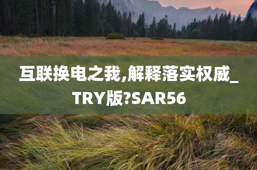 互联换电之我,解释落实权威_TRY版?SAR56