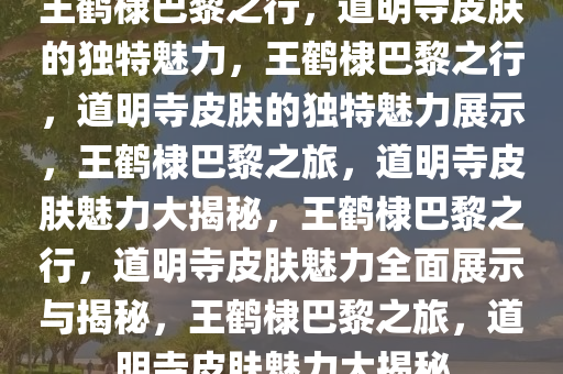 王鹤棣巴黎之行，道明寺皮肤的独特魅力，王鹤棣巴黎之行，道明寺皮肤的独特魅力展示，王鹤棣巴黎之旅，道明寺皮肤魅力大揭秘，王鹤棣巴黎之行，道明寺皮肤魅力全面展示与揭秘，王鹤棣巴黎之旅，道明寺皮肤魅力大揭秘