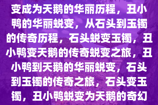 从石头到玉镯，丑小鸭如何蜕变成为天鹅的华丽历程，丑小鸭的华丽蜕变，从石头到玉镯的传奇历程，石头蜕变玉镯，丑小鸭变天鹅的传奇蜕变之旅，丑小鸭到天鹅的华丽蜕变，石头到玉镯的传奇之旅，石头变玉镯，丑小鸭蜕变为天鹅的奇幻之旅