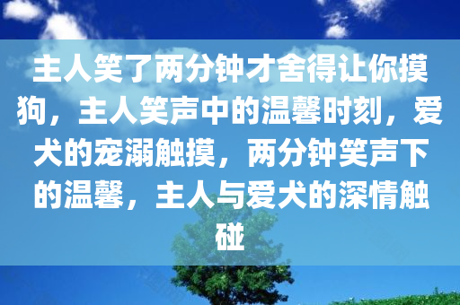 主人笑了两分钟才舍得让你摸狗，主人笑声中的温馨时刻，爱犬的宠溺触摸，两分钟笑声下的温馨，主人与爱犬的深情触碰