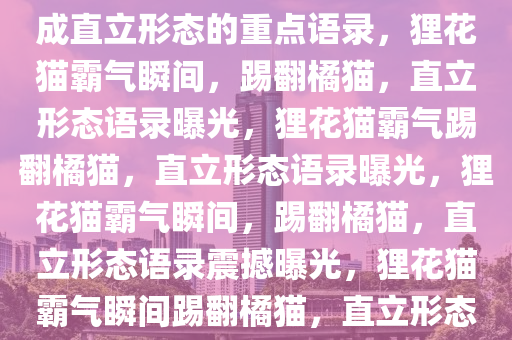 狸花猫的霸气瞬间，将橘猫踢成直立形态的重点语录，狸花猫霸气瞬间，踢翻橘猫，直立形态语录曝光，狸花猫霸气踢翻橘猫，直立形态语录曝光，狸花猫霸气瞬间，踢翻橘猫，直立形态语录震撼曝光，狸花猫霸气瞬间踢翻橘猫，直立形态语录震撼呈现