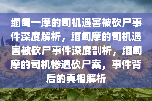 缅甸一摩的司机遇害被砍尸事件深度解析，缅甸摩的司机遇害被砍尸事件深度剖析，缅甸摩的司机惨遭砍尸案，事件背后的真相解析