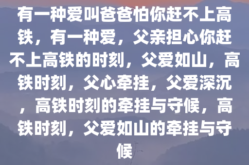 有一种爱叫爸爸怕你赶不上高铁，有一种爱，父亲担心你赶不上高铁的时刻，父爱如山，高铁时刻，父心牵挂，父爱深沉，高铁时刻的牵挂与守候，高铁时刻，父爱如山的牵挂与守候