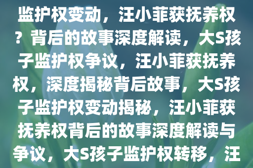 大S孩子监护权转移至汪小菲？深度解读背后的故事，大S孩子监护权变动，汪小菲获抚养权？背后的故事深度解读，大S孩子监护权争议，汪小菲获抚养权，深度揭秘背后故事，大S孩子监护权变动揭秘，汪小菲获抚养权背后的故事深度解读与争议，大S孩子监护权转移，汪小菲获抚养权，背后故事深度揭秘