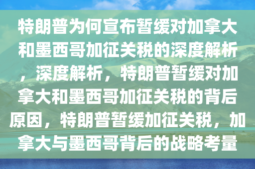 特朗普为何宣布暂缓对加拿大和墨西哥加征关税的深度解析，深度解析，特朗普暂缓对加拿大和墨西哥加征关税的背后原因，特朗普暂缓加征关税，加拿大与墨西哥背后的战略考量