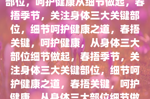 春捂季节，关注身体三大关键部位，呵护健康从细节做起，春捂季节，关注身体三大关键部位，细节呵护健康之道，春捂关键，呵护健康，从身体三大部位细节做起，春捂季节，关注身体三大关键部位，细节呵护健康之道，春捂关键，呵护健康，从身体三大部位细节做起