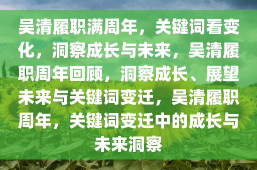 吴清履职满周年，关键词看变化，洞察成长与未来，吴清履职周年回顾，洞察成长、展望未来与关键词变迁，吴清履职周年，关键词变迁中的成长与未来洞察