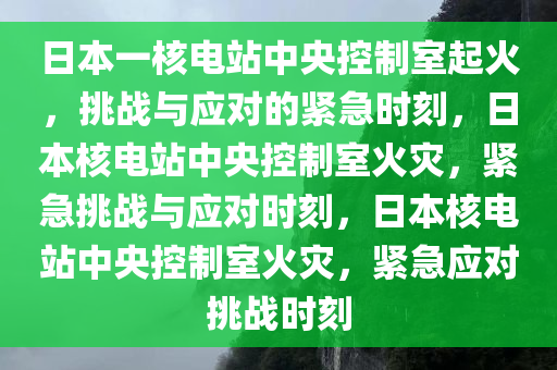 日本一核电站中央控制室起火，挑战与应对的紧急时刻，日本核电站中央控制室火灾，紧急挑战与应对时刻，日本核电站中央控制室火灾，紧急应对挑战时刻