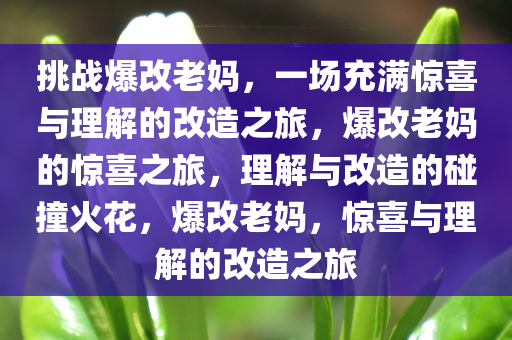 挑战爆改老妈，一场充满惊喜与理解的改造之旅，爆改老妈的惊喜之旅，理解与改造的碰撞火花，爆改老妈，惊喜与理解的改造之旅