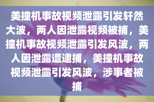 美撞机事故视频泄露引发轩然大波，两人因泄露视频被捕，美撞机事故视频泄露引发风波，两人因泄露遭逮捕，美撞机事故视频泄露引发风波，涉事者被捕