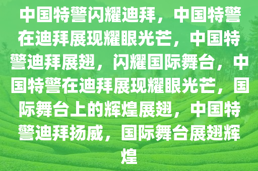 中国特警闪耀迪拜，中国特警在迪拜展现耀眼光芒，中国特警迪拜展翅，闪耀国际舞台，中国特警在迪拜展现耀眼光芒，国际舞台上的辉煌展翅，中国特警迪拜扬威，国际舞台展翅辉煌