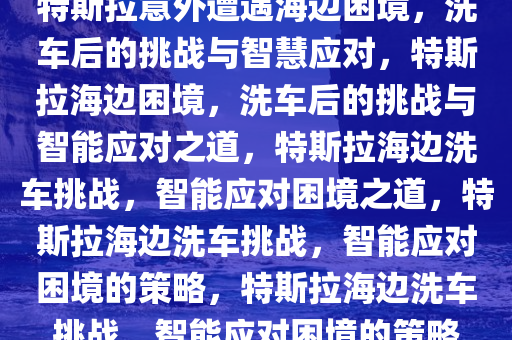 特斯拉意外遭遇海边困境，洗车后的挑战与智慧应对，特斯拉海边困境，洗车后的挑战与智能应对之道，特斯拉海边洗车挑战，智能应对困境之道，特斯拉海边洗车挑战，智能应对困境的策略，特斯拉海边洗车挑战，智能应对困境的策略