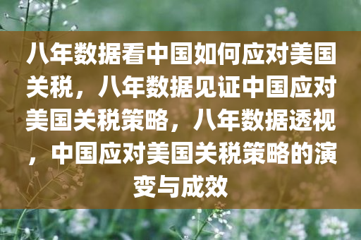 八年数据看中国如何应对美国关税，八年数据见证中国应对美国关税策略，八年数据透视，中国应对美国关税策略的演变与成效